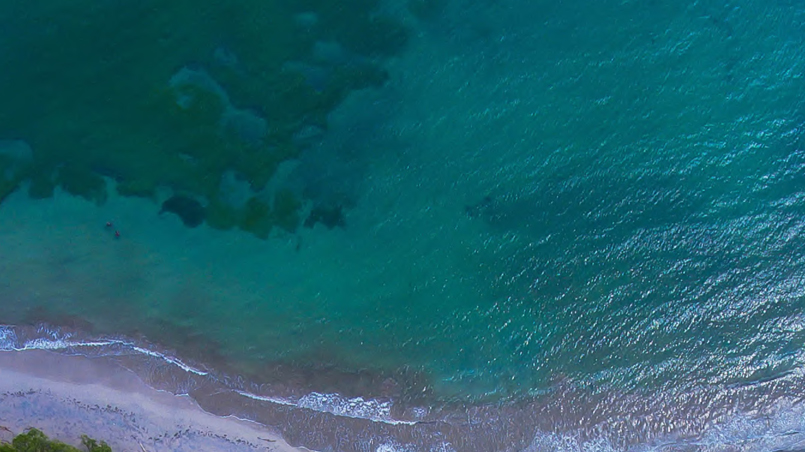 What to Expect out of COP30?