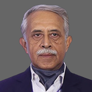 Dr. Punita Kumar Sinha